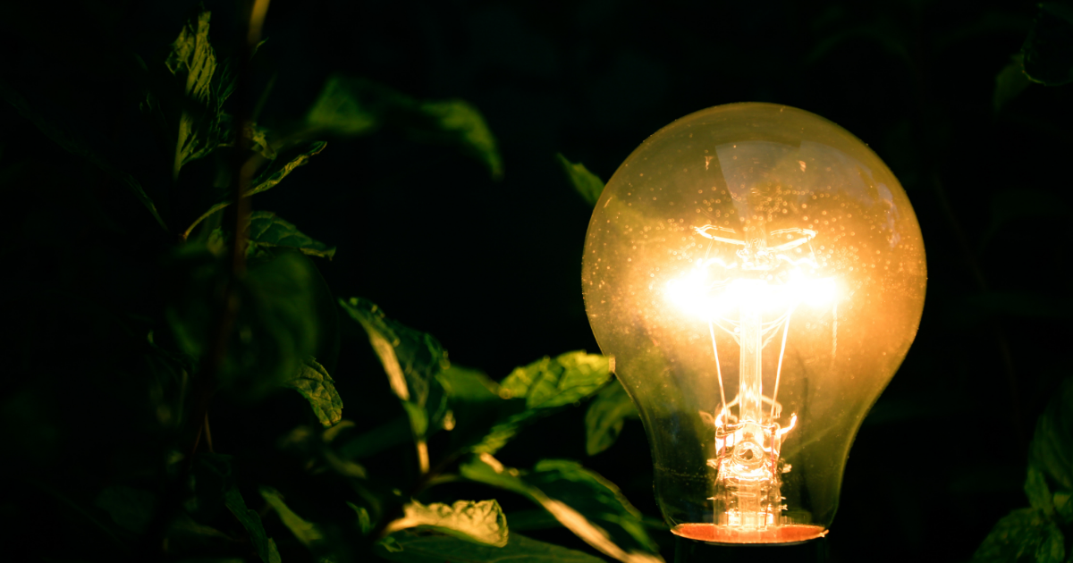 Crescer, Evoluir e Transbordar: Uma Conversa que Ilumina o Sentido da Vida