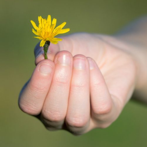 Prática da Gratidão: Pequenos Hábitos que Transformam sua Perspectiva