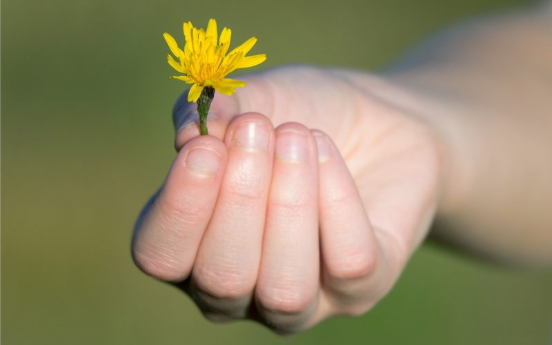 Prática da Gratidão: Pequenos Hábitos que Transformam sua Perspectiva