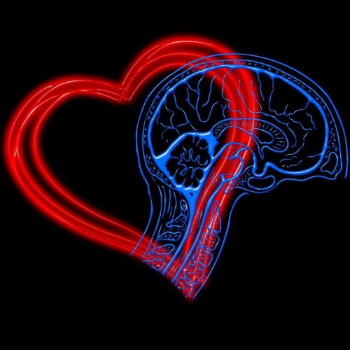 Inteligência Emocional: Ferramentas Práticas para Gerenciar Sentimentos no Cotidiano