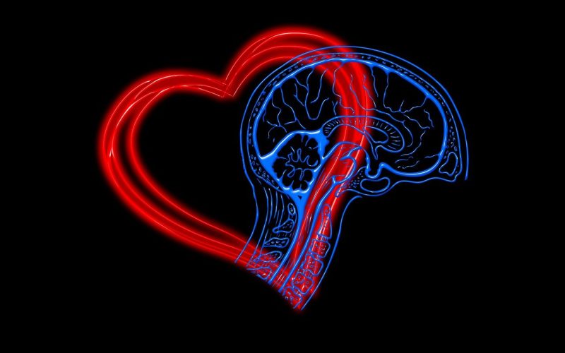 Inteligência Emocional: Ferramentas Práticas para Gerenciar Sentimentos no Cotidiano