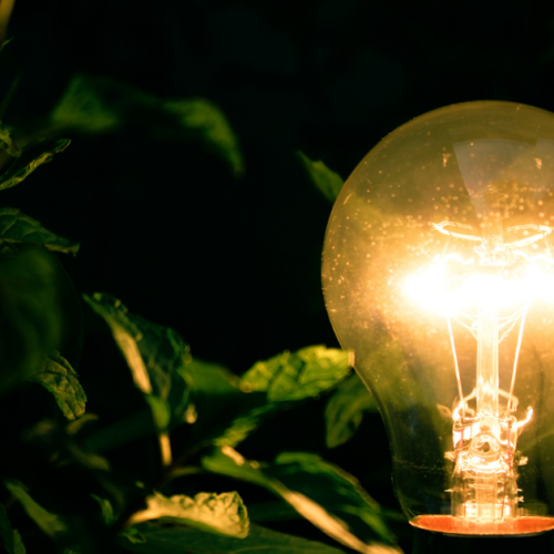 Crescer, Evoluir e Transbordar: Uma Conversa que Ilumina o Sentido da Vida