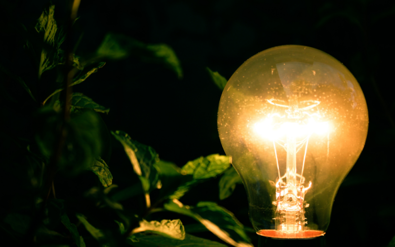 Crescer, Evoluir e Transbordar: Uma Conversa que Ilumina o Sentido da Vida