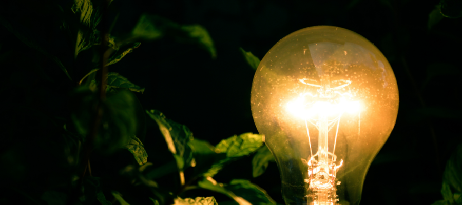 Crescer, Evoluir e Transbordar: Uma Conversa que Ilumina o Sentido da Vida